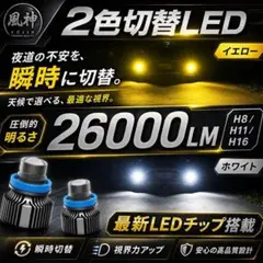池田フォグ 2色切替式 LEDフォグランプ H8/H11/H16 - メルカリ
