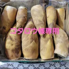 たけのこ　愛媛県産　箱込み約1.5キロ　コタロウ様専用です