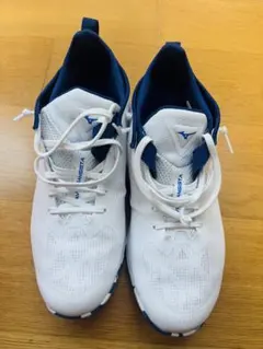 Item thumbnail for item 24b10f89-5f5c-4f8f-9cb9-be74b97f0de9