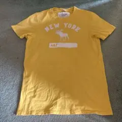 Abercrombie & Fitch イエロー Tシャツ