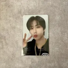 Item thumbnail for item 912ca8f6-17f2-4746-8caf-4a6e61b28026