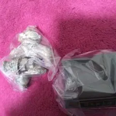 Item thumbnail for item 5dd135c1-1902-40f0-b5c7-e31202c28213