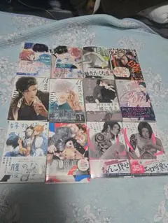 BL漫画 まとめ売り