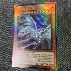 2026年最新】青眼の白龍 レリーフの人気アイテム - メルカリ