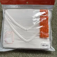 Item thumbnail for item 106cac46-f927-456f-800e-bc3fe43e54a4