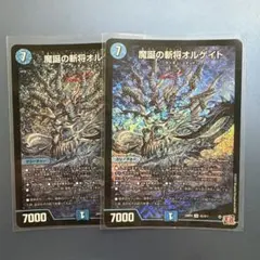 2025年最新】オルゲイト 2枚の人気アイテム - メルカリ