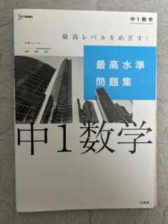 最高水準問題集 中1数学