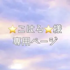 ⭐️こはる⭐️様専用ページ