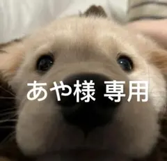 あや様 専用