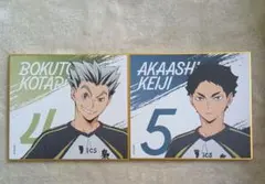 ハイキュー!!ミニ色紙/木兎・赤葦ペア