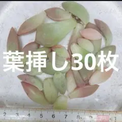 香織様 リクエスト 3点 まとめ商品