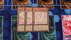 遊戯王　マルチャミーニャルス　シークレット　3枚