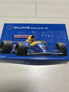 フジミ 1/20 ウィリアムズ FW16 グランプリ選択式 アイルトン・セナ
