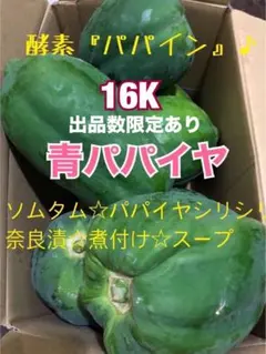 どんまい様パパイア３品種 ジャーマンアイリススプラッターマターズ他アガパンサス どんまい様パパイア3品種 ジャーマンアイリススプラッターマターズ