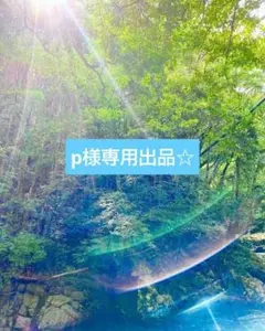 【p様専用出品】チャット鑑定 45分占い放題☆