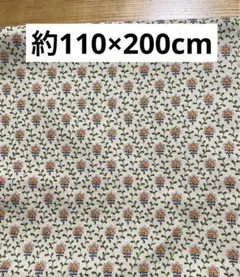 ソレイアード SOULEIADO生地 たっぷり約110×200cm