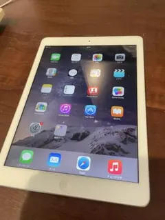 Apple iPad MD794J/A ホワイト 起動確認済