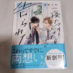 BL小説 寝たフリしてたら告られた。(しかも好きな人から)