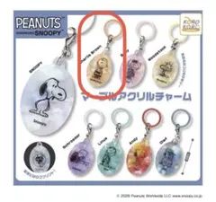 KOROKORO SNOOPY マーブルアクリルチャーム　チャーリーブラウン