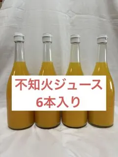 ★完熟糖度22度岩手県産山ぶどう原液ジュース360ml24本 ☆完熟糖度22度岩手県産山ぶどう原液ジュース360ml24本 - メルカリ
