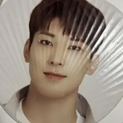 seventeen holiday wonwooウォヌ ミニ ピケット うちわ - メルカリ