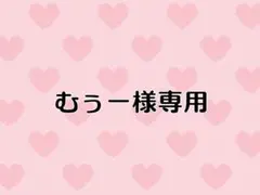 むぅー様 リクエスト 2点 まとめ商品