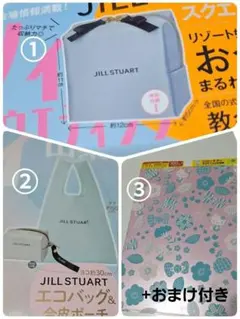 ゼクシィJILLSTUART①スクエアポーチ②エコバック&合皮ポーチ③ファイル