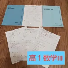 復テ付き】鉄緑会高2数学 テキスト問題集、復テ、解答セット 1年分 24