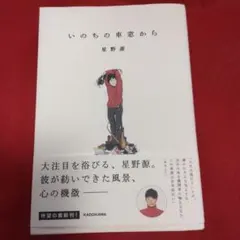 Item thumbnail for item 6b4d9e5a-f44d-455d-ad7d-d8fd037db368