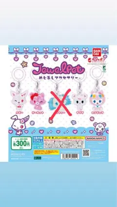 めじるしアクセサリー