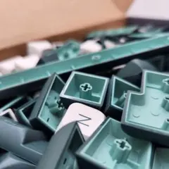 ISA(XVX) Profile PBT Keycaps White Green