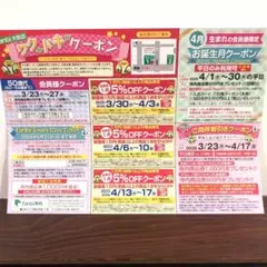 ファンビ寺内 大阪店 ワクドキクーポン 4月号　 1枚　fanbi寺内大阪店のサムネイル