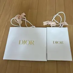 DIOR 紙袋 2枚セット