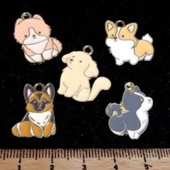 2セット⭐️かわいい犬(ミックス).。.:*5個♡ゴールドチャーム