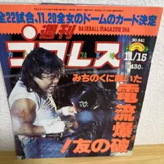 週刊プロレス1994年11月15日号　龍原砲ファイナル！