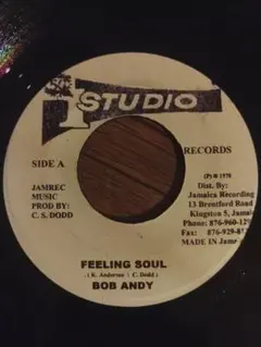 Bob Andy - Feeling Soul