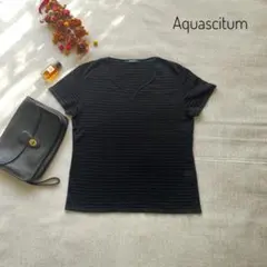 美品　アクアスキュータム　ボーダー半袖Tシャツ　シースルー　S　ブラックのサムネイル