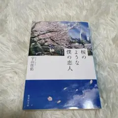 桜のような僕の恋人 宇山佳佑