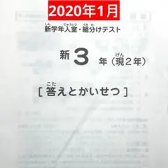 サピックス 1月度新3年(現2年)新学年入室組分けテスト原本