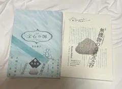 新品未開封】宝石の国 13巻 特装版 詩集 無機物の意思受容 - メルカリ