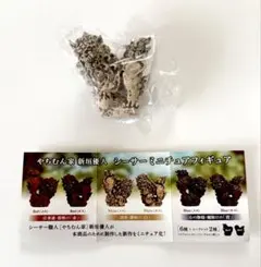 シーサーミニチュアフィギュア 白 オス