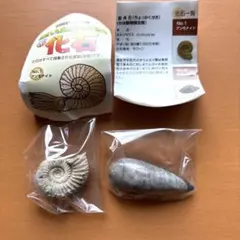 国産鉱物