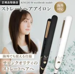 2026年最新】KINUJO ds100の人気アイテム - メルカリ