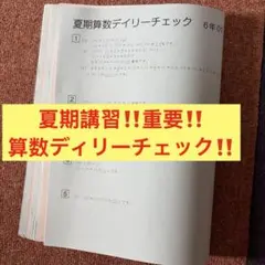 ㉑ま サピックス SAPIX 5年 算数 ディリーチェック 1-37全 - メルカリ