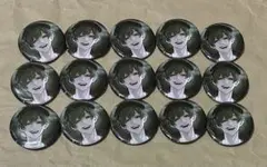 シクフォニ 缶バッジ 1HOLE ソロ すち 15個