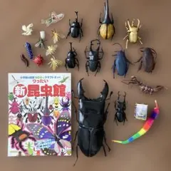 昆虫、虫いろいろまとめ売り