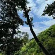 明日から金額あげます。復刻版500足 モレリアm8 5.6回使用済み - メルカリ 