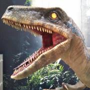 本場大島紬 ロングワンピース 仙太郎 証紙有り 仕付け糸付き - メルカリ