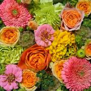 この度 公爵家の令嬢の婚約者となりました しかし 噂では性格が悪く 十歳も年上 メルカリ