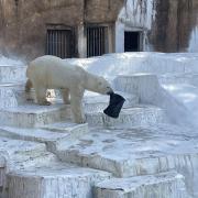 HYSTERIC MINI 2025年カレンダー 限定017/100